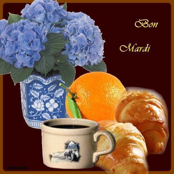 bon mardi