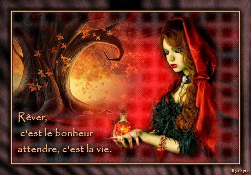Rêver, c'est le bonheur .....